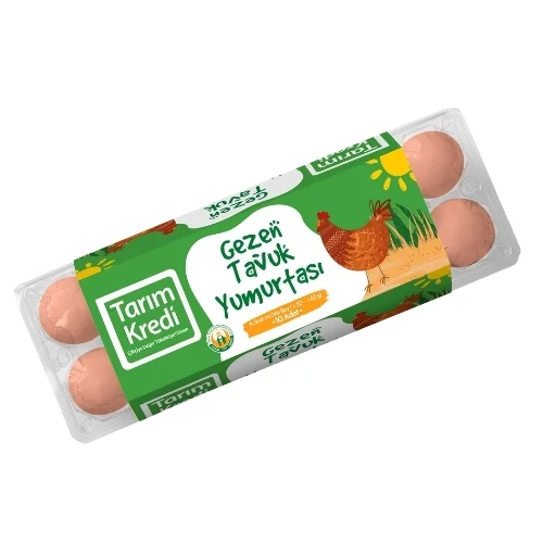 TK GEZEN TAVUK YUMURTA 10 LU